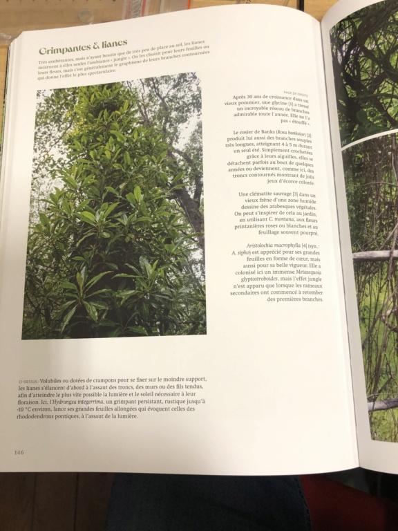 "Jardins jungle, Inspirations et plantes adaptées à nos climats" éd. Ulmer 2023 Img_2818