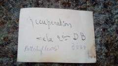 Brassard à identifier Tzolzo10