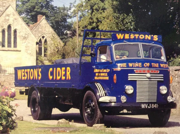 Commer Cidert10