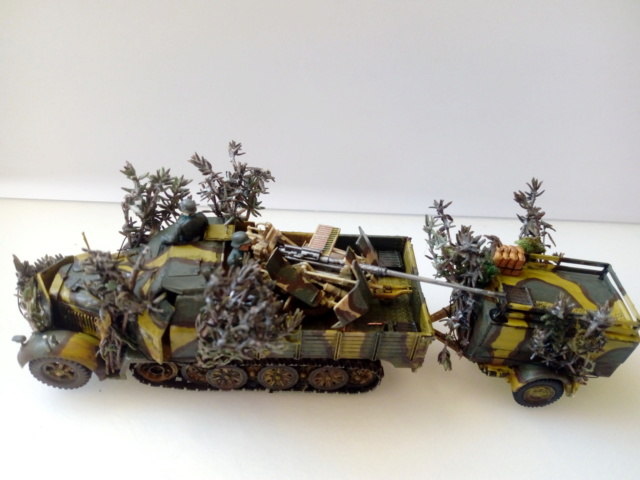 [Revell] Sdkfz 7/2 + flak 3,7 cm --- FINI --- - Page 2 Img_2138