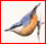 oiseaux - Liste des familles d'oiseaux publiées Sittid10