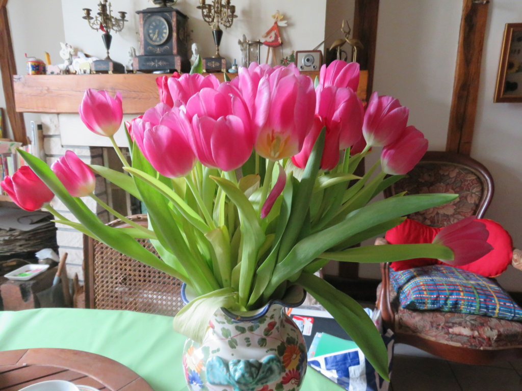 les pots de fleurs de planrupt Img_5712