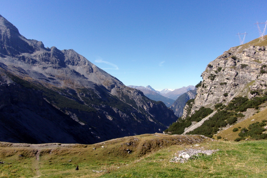 Deux Tracers en  Suisse 101_0414