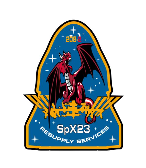 Falcon 9 (Dragon CRS-23) - KSC - 29.8.2021 Scre2031