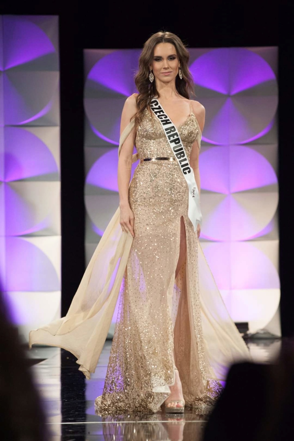MISS UNIVERSE 2019 * PRELIMINARY COMPETITION  - Page 2 Fb_14284