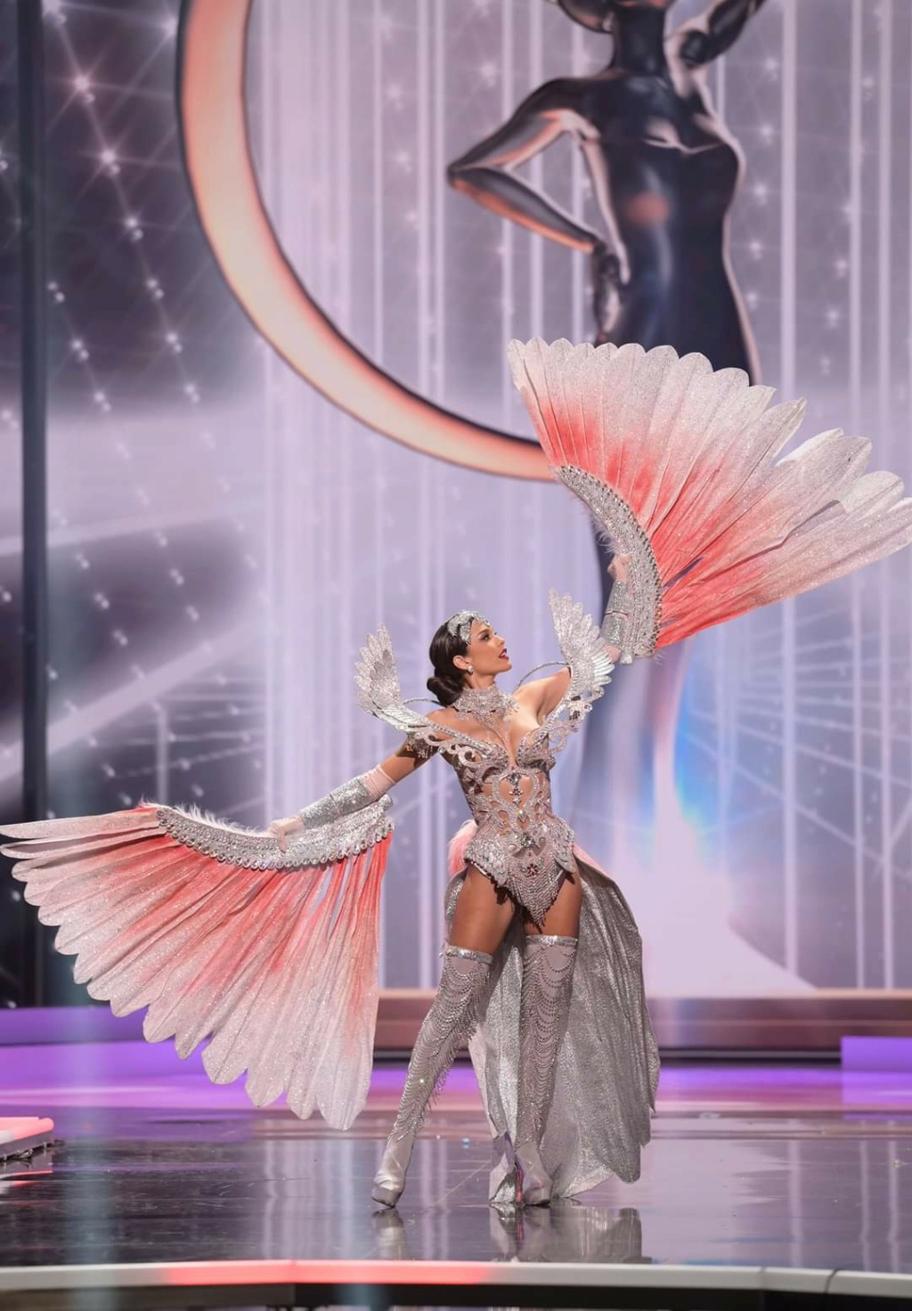 MISS UNIVERSE 2020 - NATIONAL COSTUME - Page 2 Fb_17537