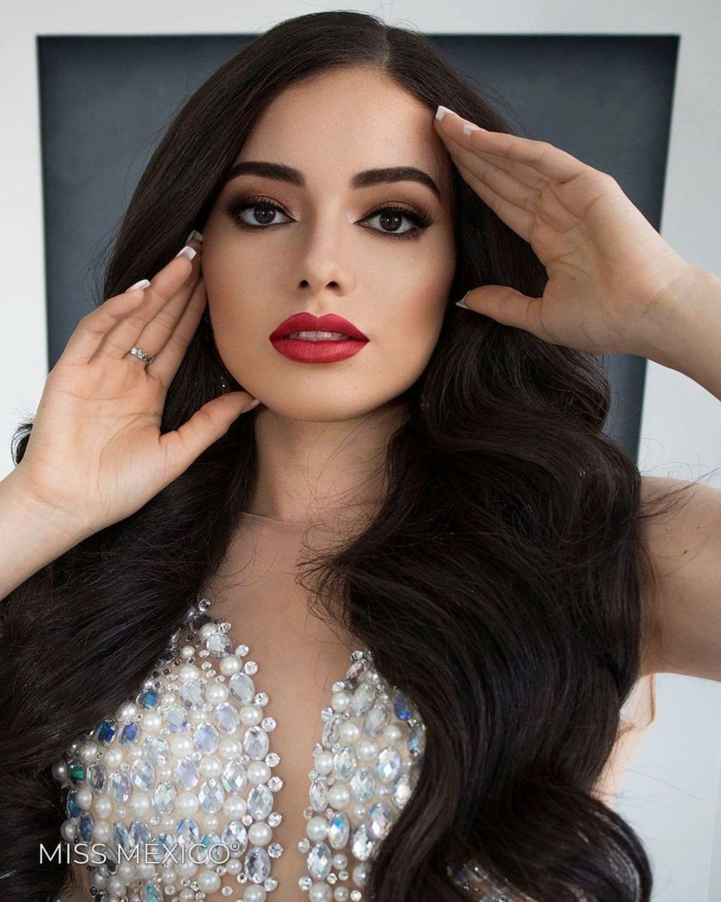 MISS MEXICO 2020/2021 - Page 2 Fb_17941