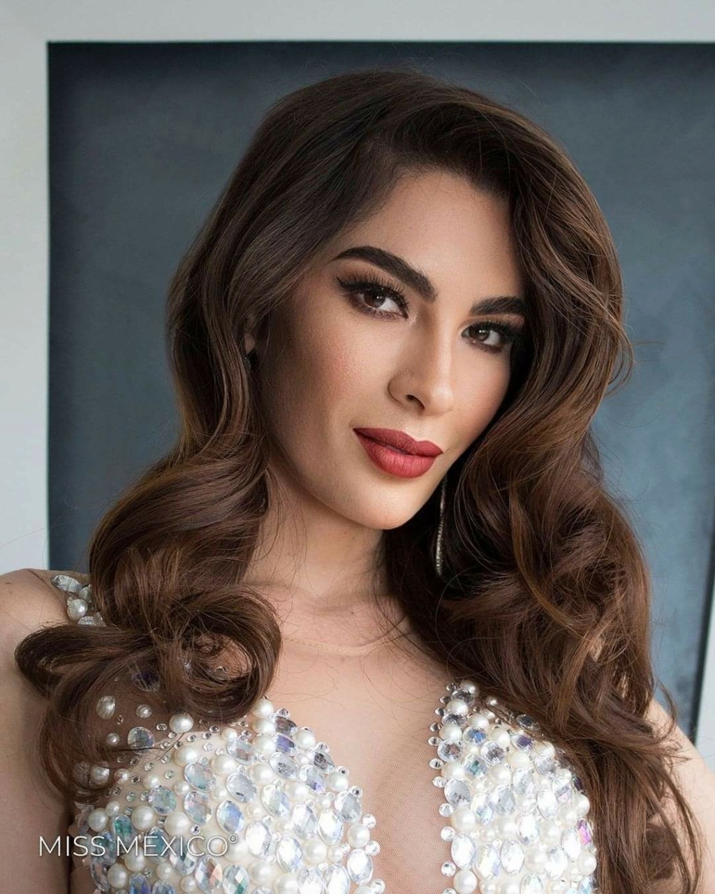 MISS MEXICO 2020/2021 - Page 2 Fb_17956