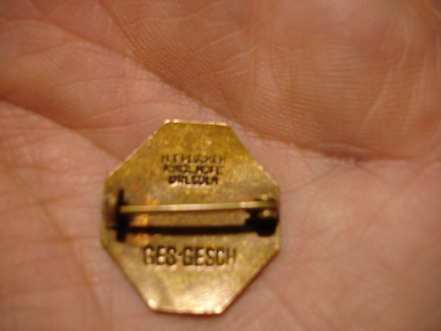 insigne allemand émaillée à identifier Dsc09642
