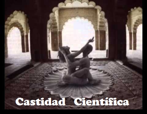 • Castidad Científica (LO QUE NO NOS HAN CONTADO)... Castid20