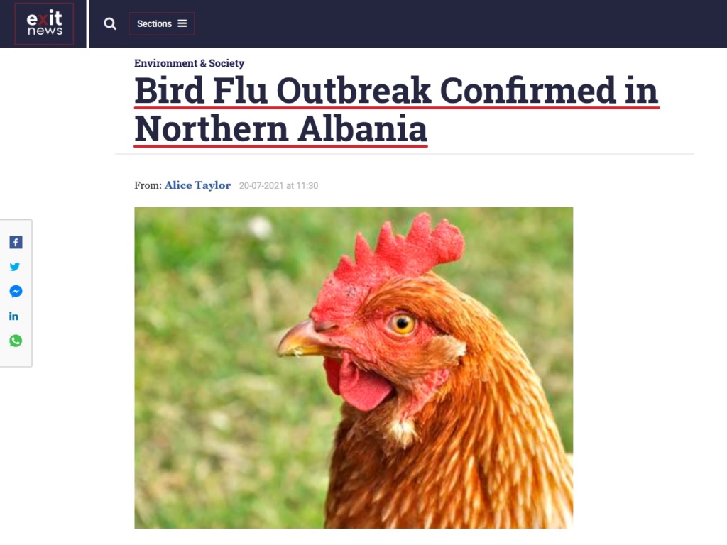 • China detecta el primer contagio de gripe aviar en humanos... Gripe_10