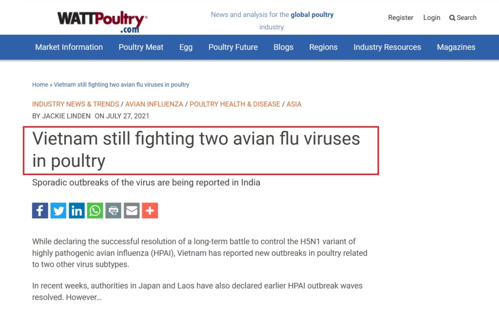 • China detecta el primer contagio de gripe aviar en humanos... Gripe_12