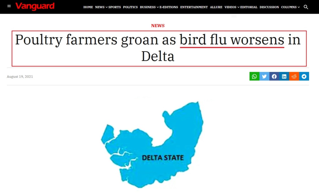 • China detecta el primer contagio de gripe aviar en humanos... Gripe_22