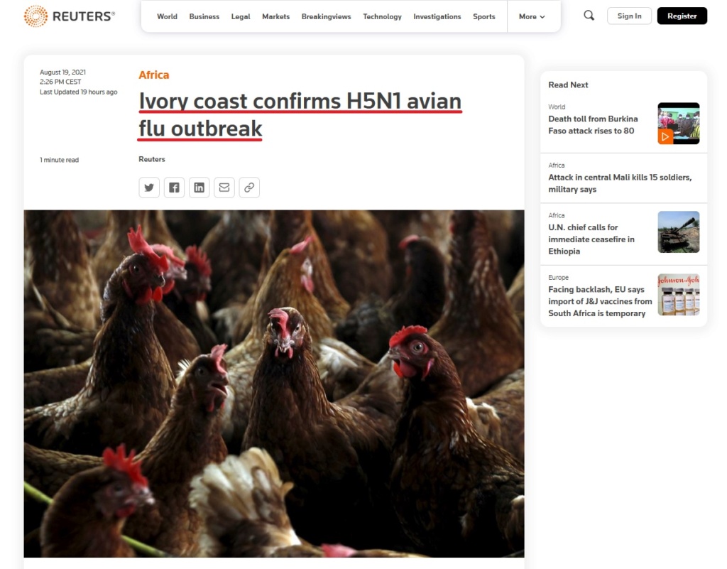 • China detecta el primer contagio de gripe aviar en humanos... Gripe_23