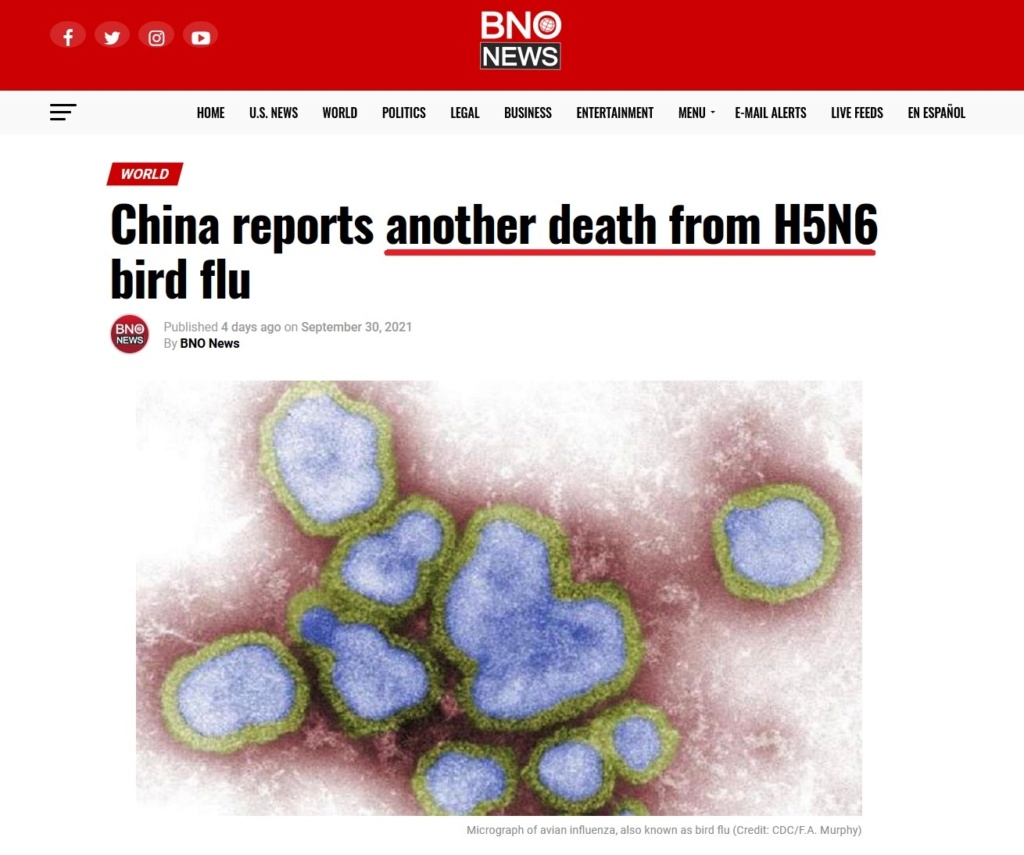 • China detecta el primer contagio de gripe aviar en humanos... Gripe_33