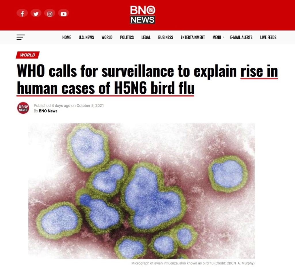 • China detecta el primer contagio de gripe aviar en humanos... Gripe_35