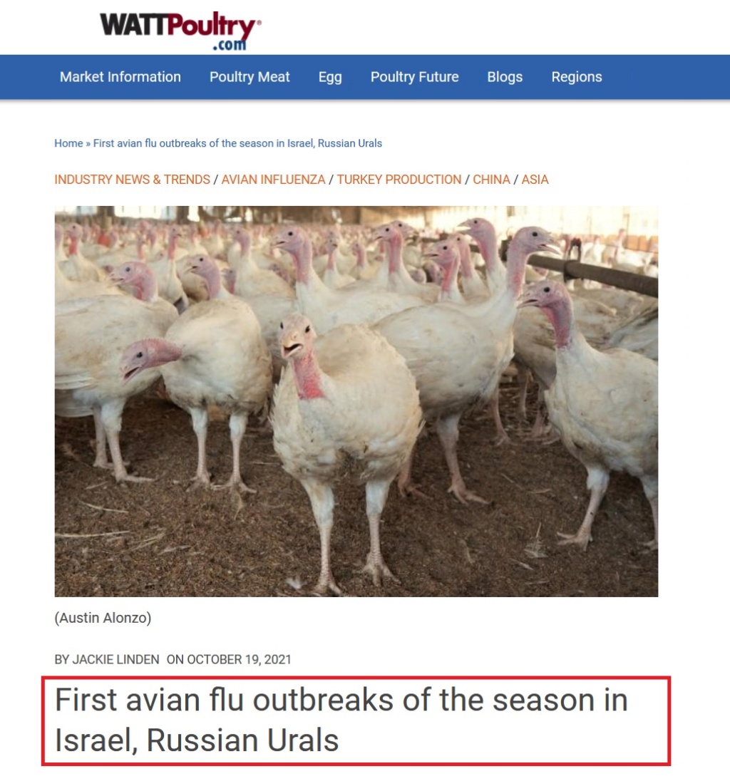 • China detecta el primer contagio de gripe aviar en humanos... Gripe_36