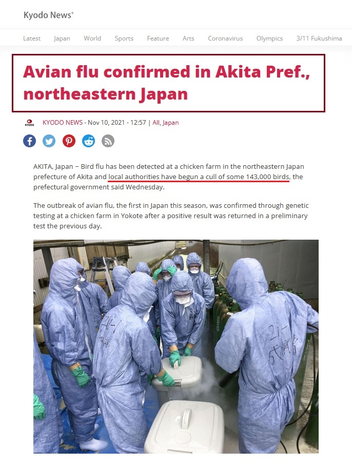 • China detecta el primer contagio de gripe aviar en humanos... Gripe_38