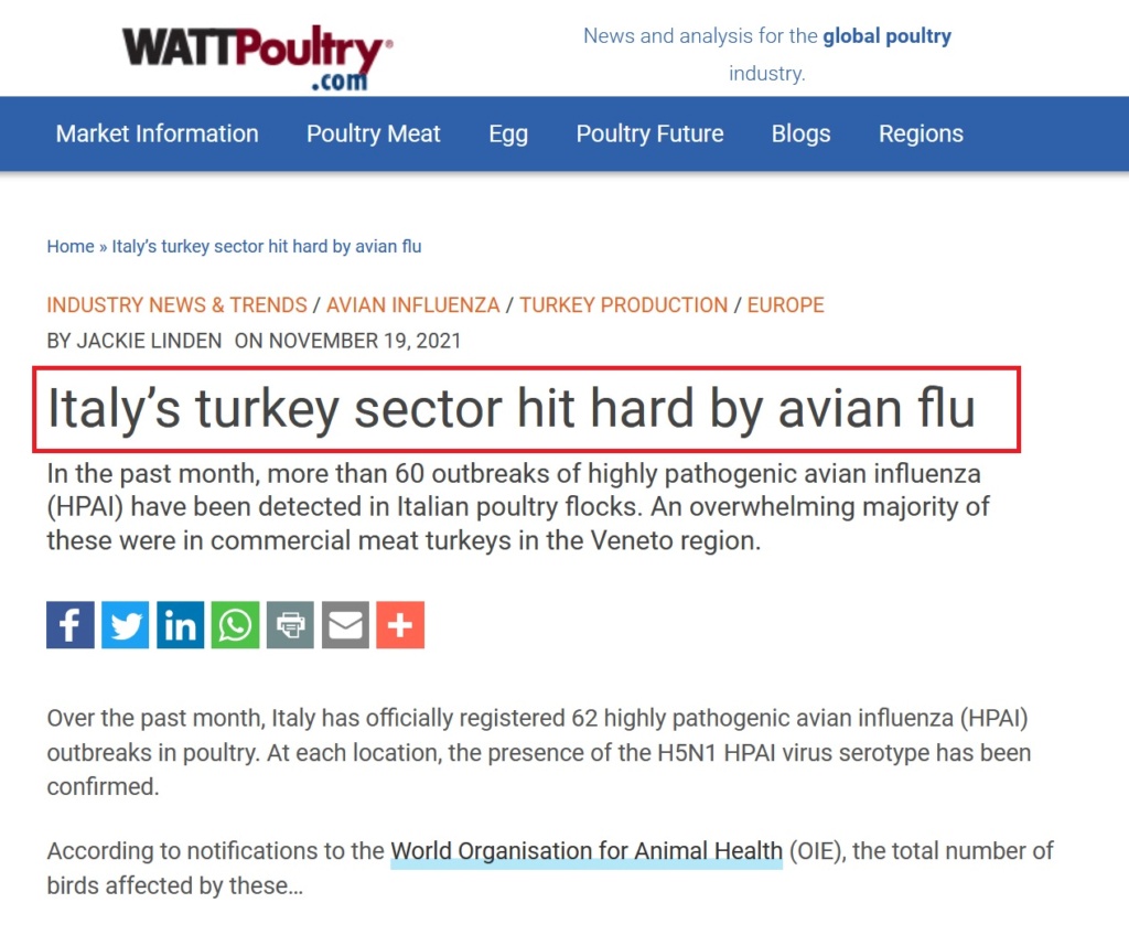 • China detecta el primer contagio de gripe aviar en humanos... Gripe_40