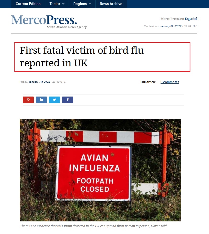 • Primera víctima mortal de gripe aviar en Reino Unido... Gripe_62