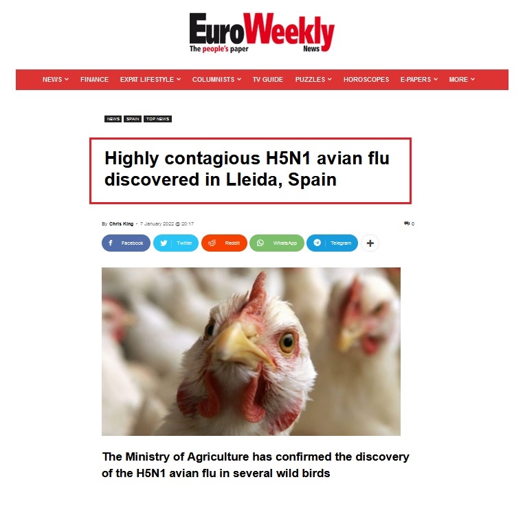 • Primera víctima mortal de gripe aviar en Reino Unido... Gripe_67