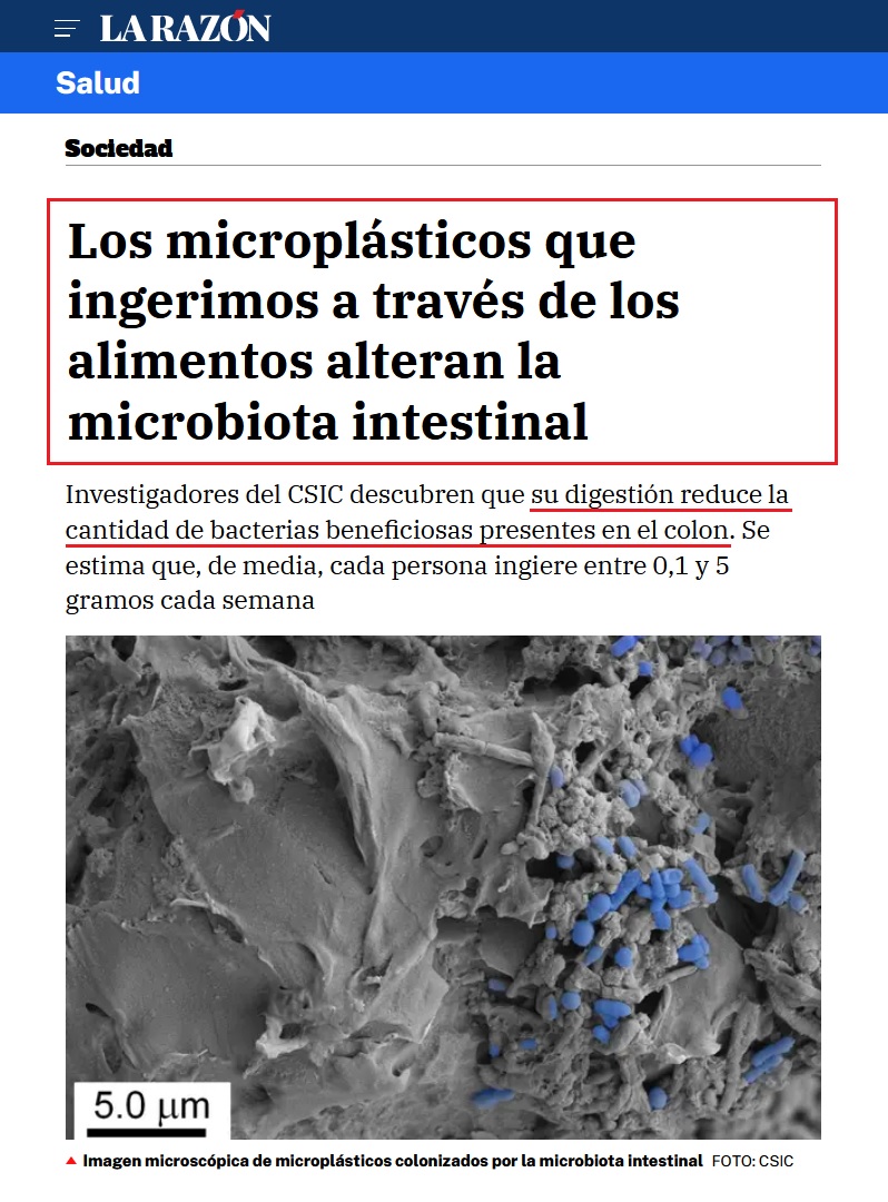 • Intestino: origen de enfermedades como... Microb29