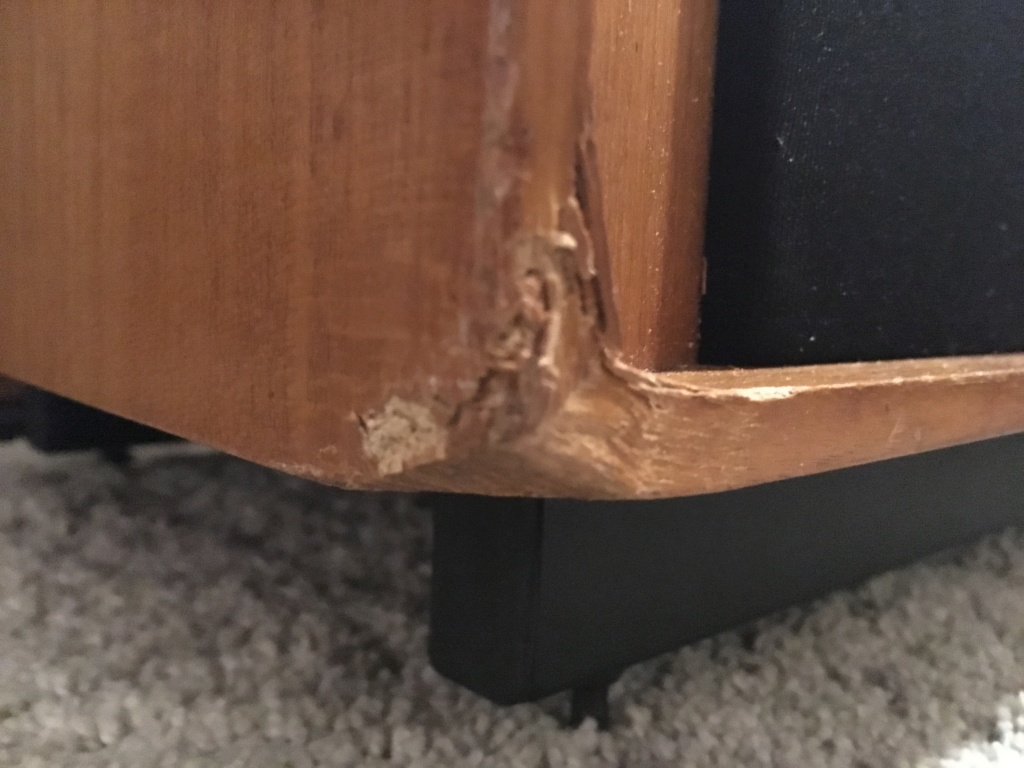 REPARACIÓN MADERA ALTAVOZ