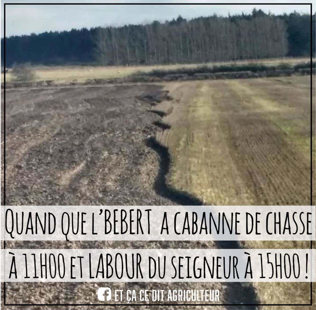 Semis céréales 2019 - Page 8 Fb_img11