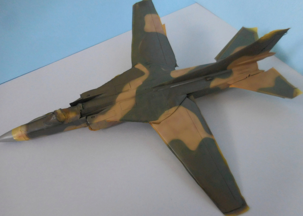 Mig-23 Flogger B - Trumpeter 1/48e et accessoires - Page 2 Dscn3920