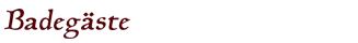 badegz11.png