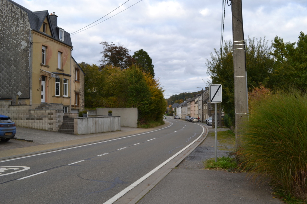 ma rue et ma maison après le passage de l'armée allemande Dsc_1011
