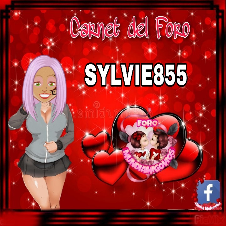 Carnet de Sylvie855 Picsar18