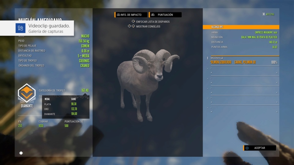 TOP 5 BIGHORN SHEEP Ps_app31