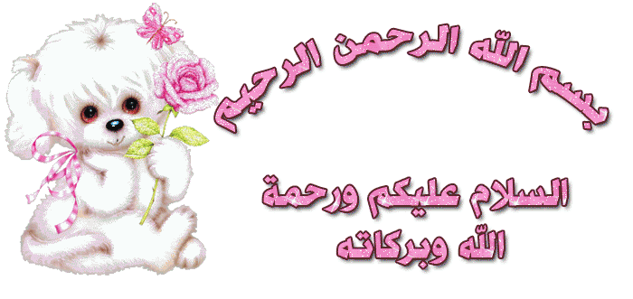 تعلم الحروف العربيه (3) 3011-417