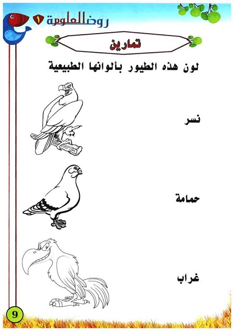  تعلم العلوم للاطفال كتاب مصور ومكتوب Aaia-a23