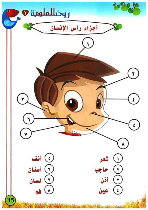  تعلم العلوم للاطفال كتاب مصور ومكتوب(3) Aaia-a52