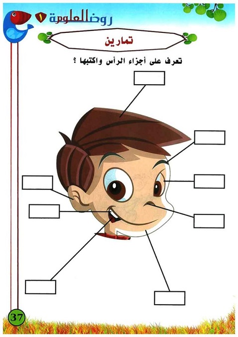  تعلم العلوم للاطفال كتاب مصور ومكتوب(3) Aaia-a53