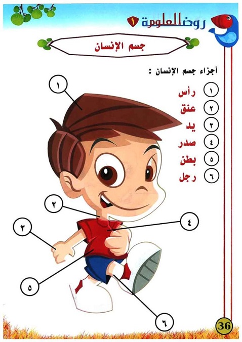  تعلم العلوم للاطفال كتاب مصور ومكتوب(3) Aaia-a55