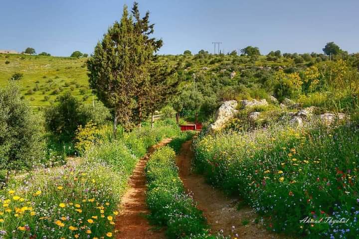 سياحه عربيه فى الاردن الحبيبه Dger6710