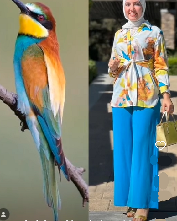 أزياء تحاكى جمال الطيور Img11597