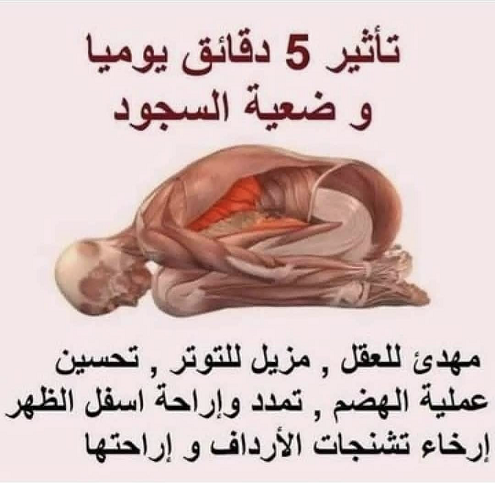 تأثير 5 دقائق يوميا فى وضعيه السجود Img_9040