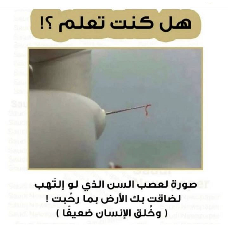 هل كنت تعلمين Img_9620