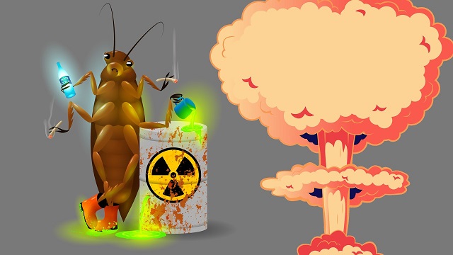  7حيوانات يمكنها النجاة من آثار القنبلة النووية  Nuclea10