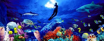 حقائق عن كائنات أعماق البحر الغامضة Oip_jf51