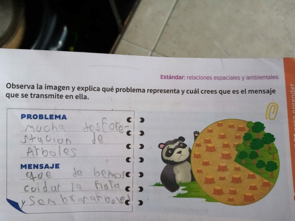  RECURSOS NATURALES ACTIVIDAD DEL LIBRO 1_210