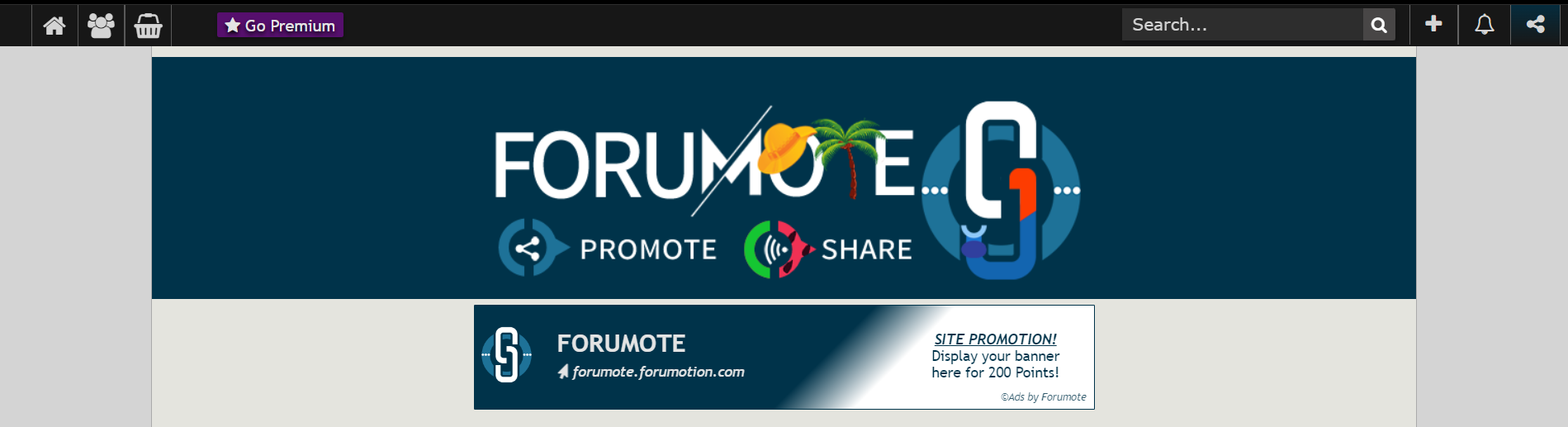 Forumote - Site Promotion Screen16