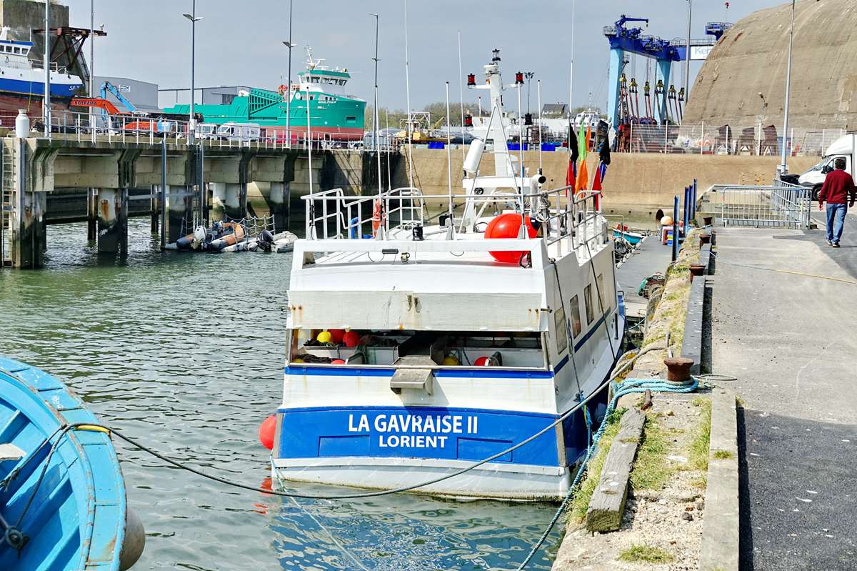 [Vie des ports] Quelques bateaux de pêche (sur nos côtes Françaises) - Page 22 _co19615