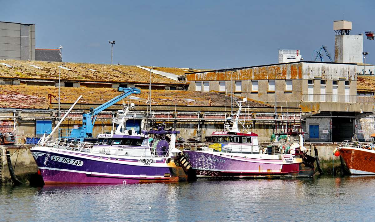 [Vie des ports] Quelques bateaux de pêche (sur nos côtes Françaises) - Page 23 _co20120