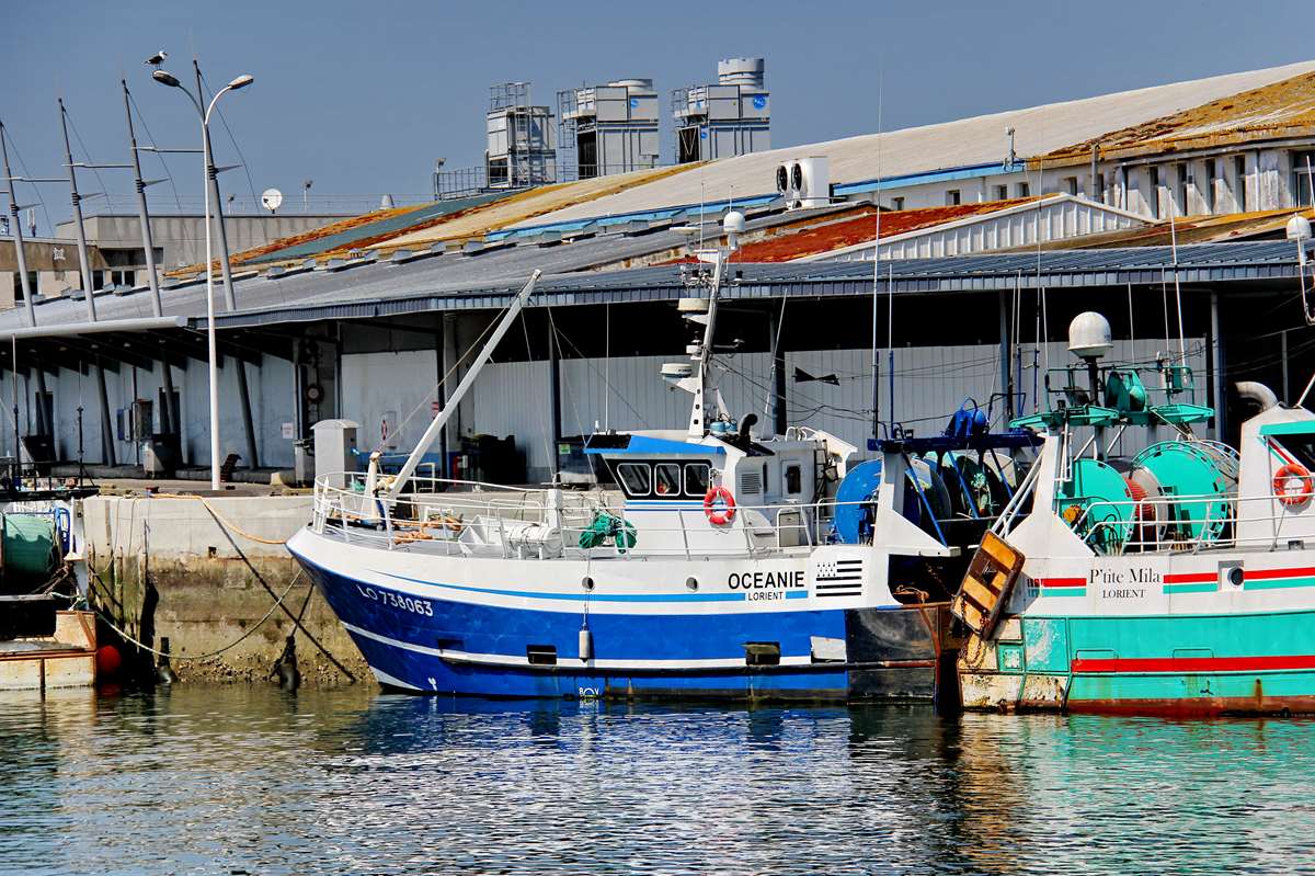 [Vie des ports] Quelques bateaux de pêche (sur nos côtes Françaises) - Page 23 _co20122