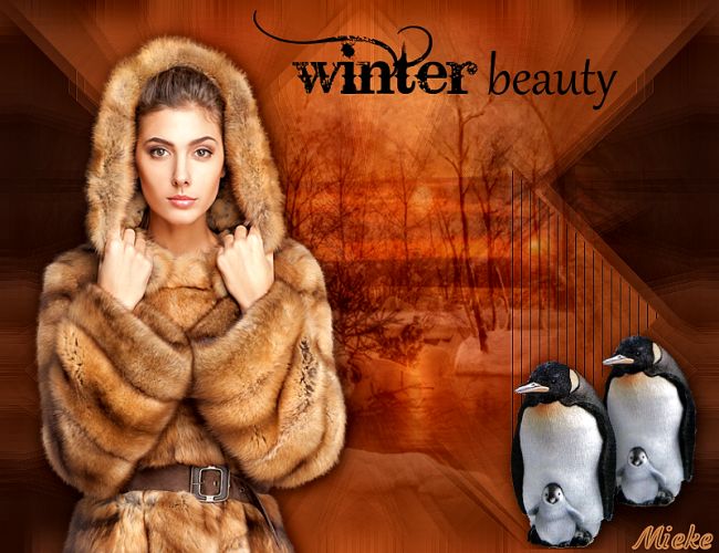 G067 - Winter beauty [seizoen-winter] G067_w10